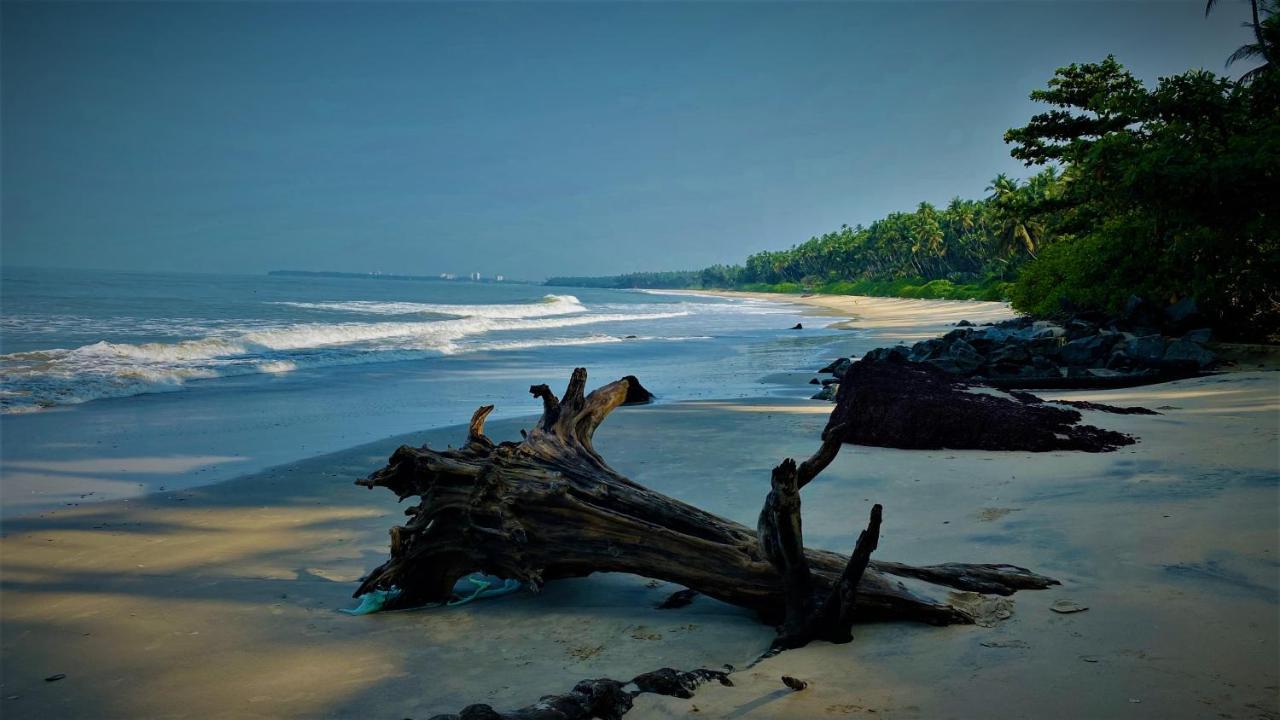 White Shell Beach House Каннур Экстерьер фото