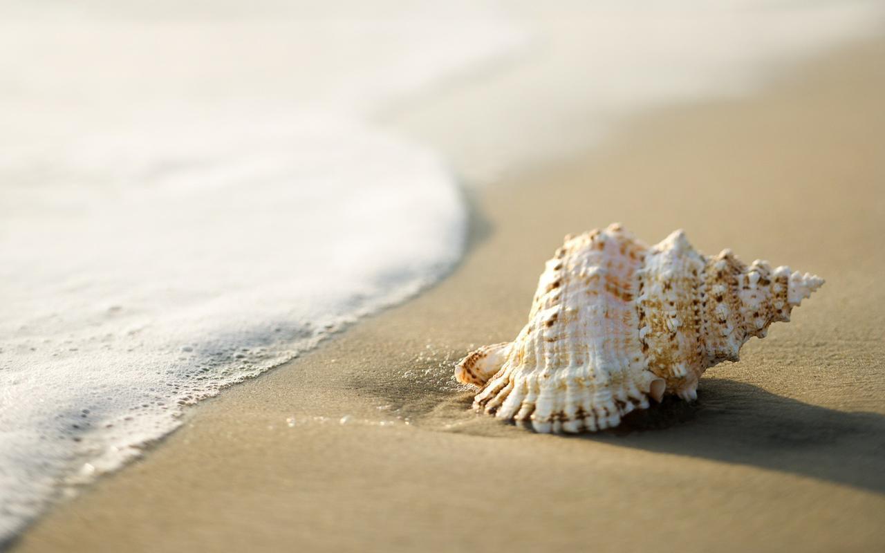 White Shell Beach House Каннур Экстерьер фото